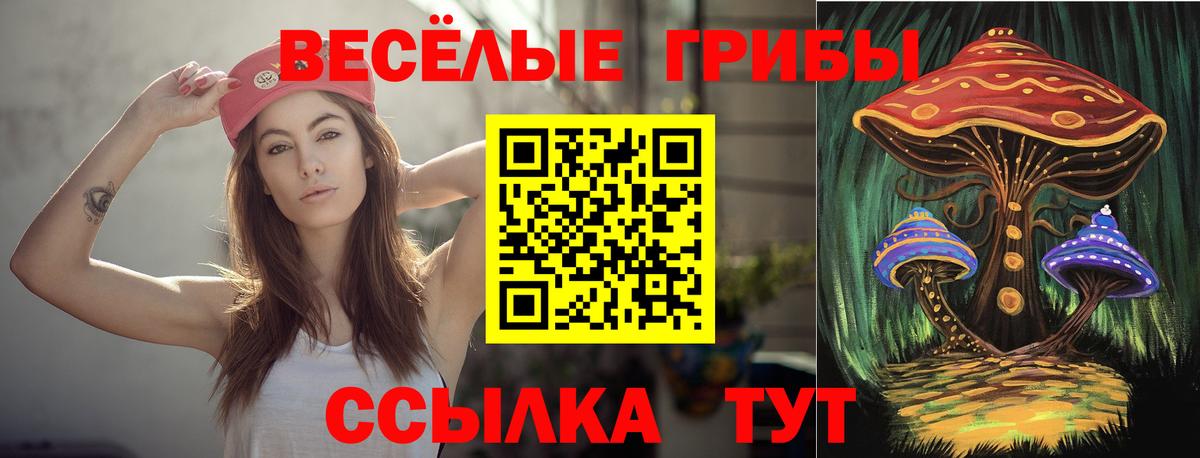 Галлюциногенные грибы Psilocybine cubensis  Вход с VPN  Псилоцибиновые грибы ЛСД  Чусовой 